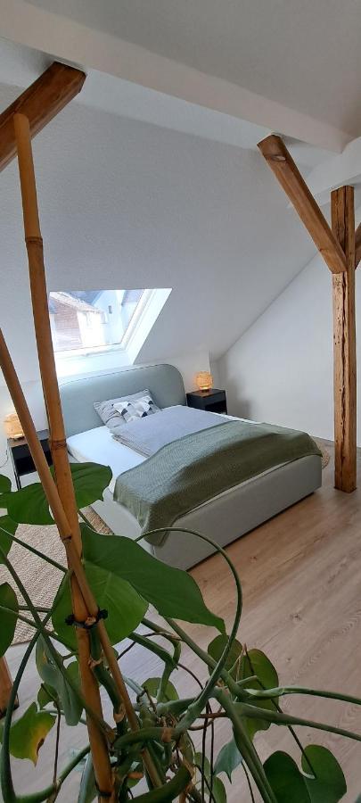 Waldstadt-Apartments 伊瑟隆 外观 照片